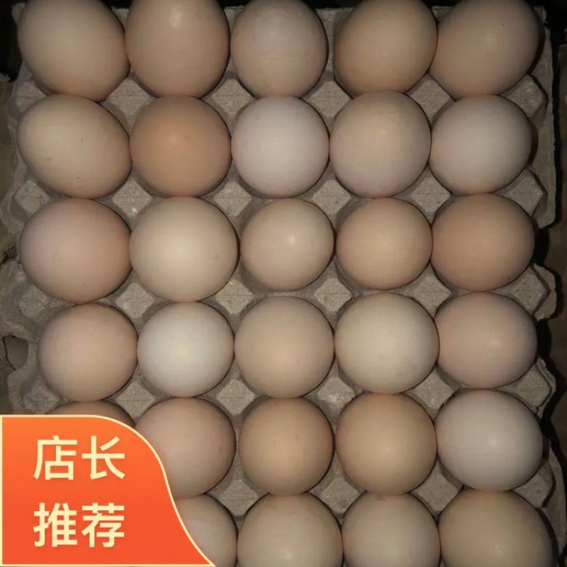 【长期供应】鲜鸡蛋次品鸡蛋畸形鸡蛋双簧蛋种类齐全