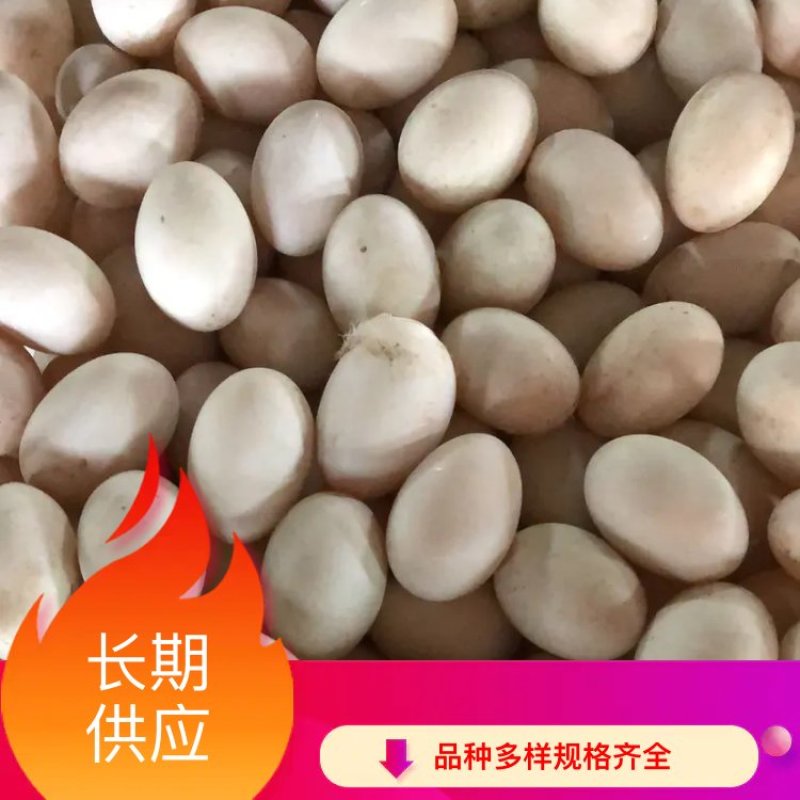 厂家直销鸭蛋，鲜鸭蛋，新鲜鸭蛋，圆黄无精鸭蛋