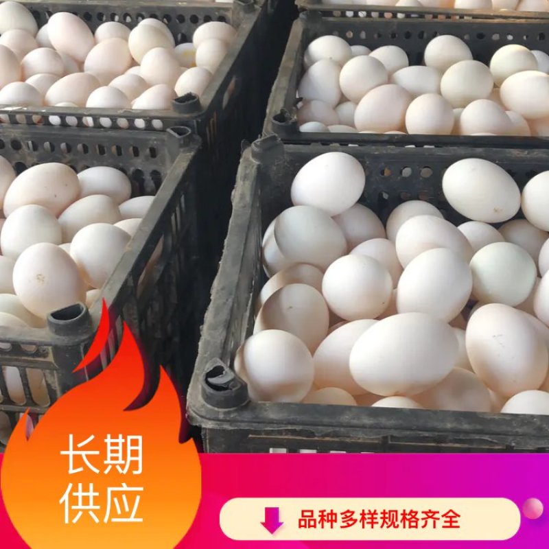 厂家直销鸭蛋，鲜鸭蛋，新鲜鸭蛋，圆黄无精鸭蛋