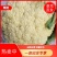 河南开封通许白面青梗松花菜，量大从优，价格美丽，万亩基地