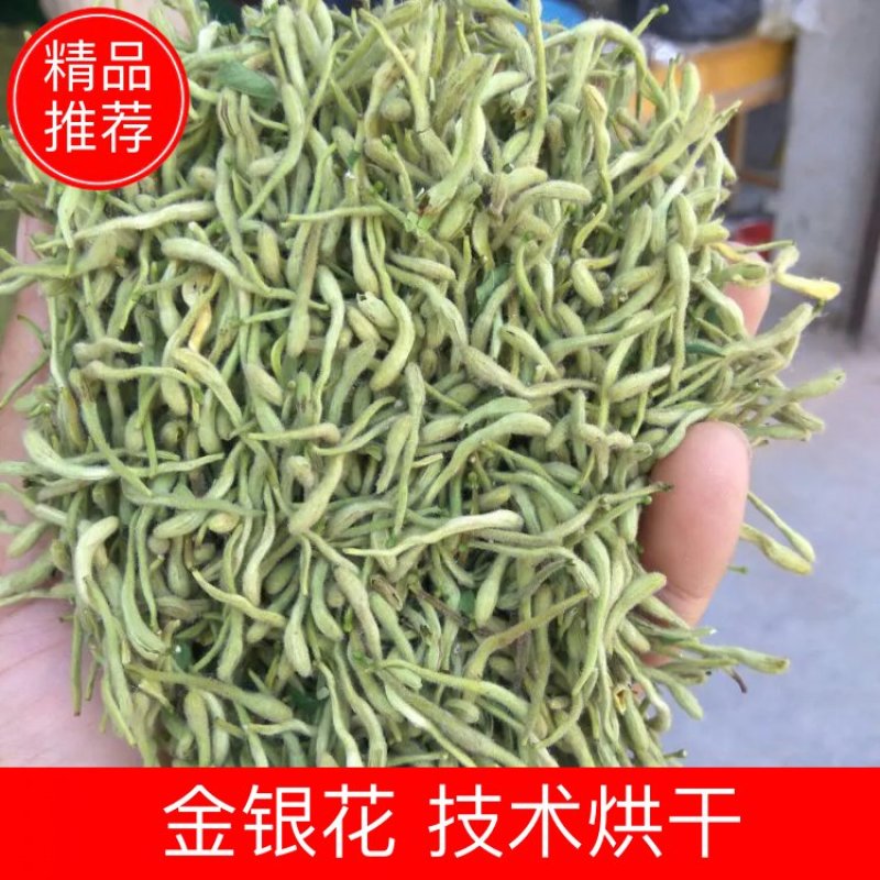 色青花空气能烘干品质良好