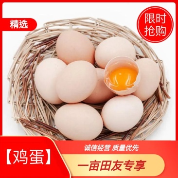 冀润德®农产品土鸡蛋批发纯粮饲养