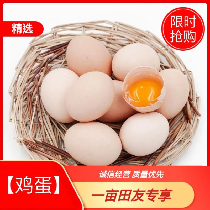 冀润德®农产品土鸡蛋批发纯粮饲养