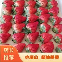 【产地直销】小汤山奶油草莓，红颜草莓