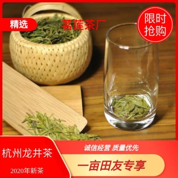 杭州龙井茶茶农直销可视频看看货对接批发商欢迎考察