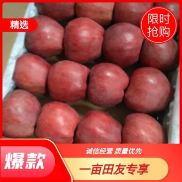 【荐】甘肃礼县花牛苹果圆果，形美味甜。诚信代办，视频看货