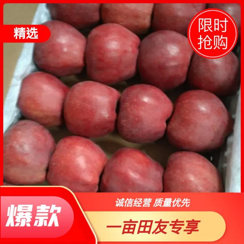 【荐】甘肃礼县花牛苹果圆果，形美味甜。诚信代办，视频看货