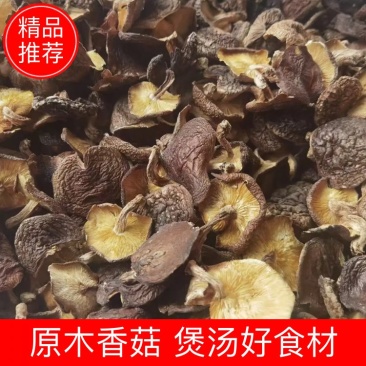 大瑶山原木香菇，香甜脆，冬天煲汤的好食材