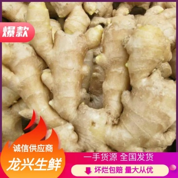 山东大姜平度大姜昌邑大莱州大姜产地直销，货源充足！