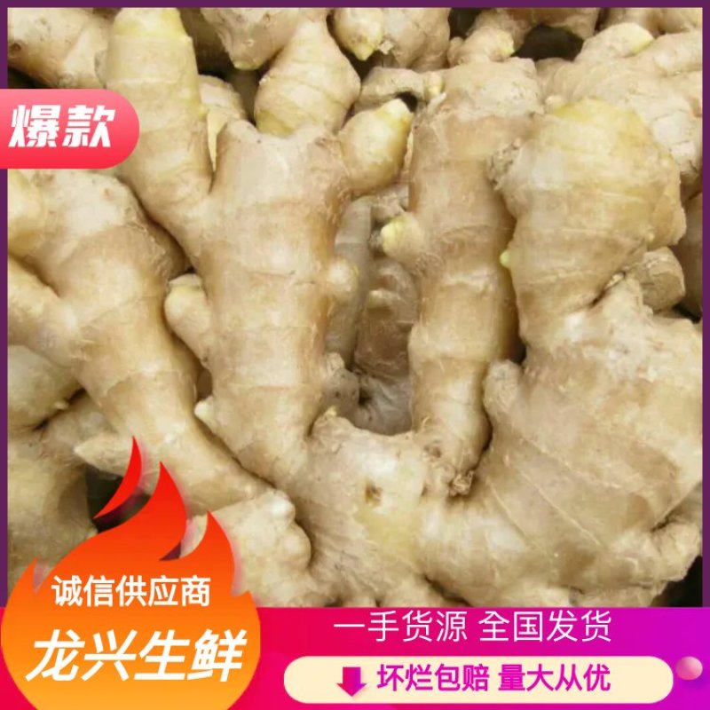 山东大姜平度大姜昌邑大莱州大姜产地直销，货源充足！