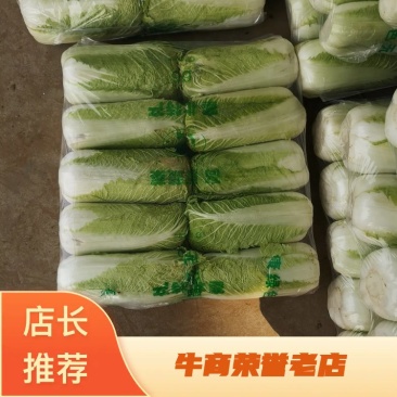 【实力】精品白菜，供应泡菜厂，酸菜厂，加工厂。市场批发，