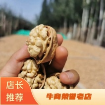 大量批发新疆薄皮33核桃，新疆产地直发，质量保证