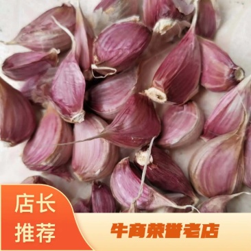 精品红根蒜苗种子太空大蒜种子大青颗蒜种苔蒜，高纯度高质量