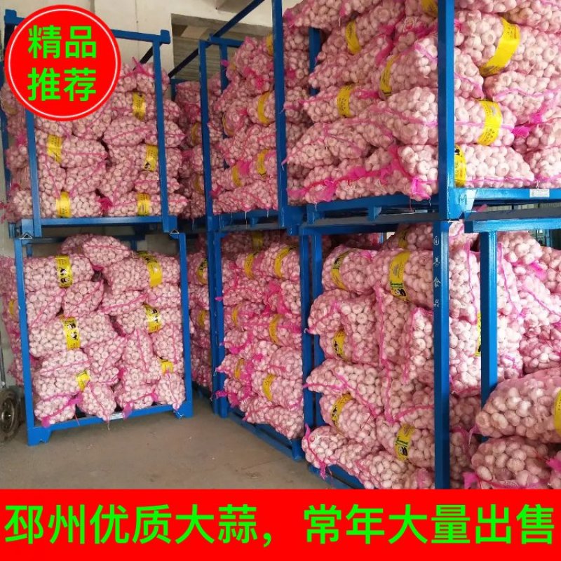 【好货推荐】邳州优质大蒜常年有货支持线上接单发货通货