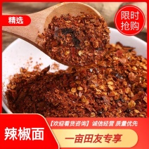 【精品】丘北辣椒面，色泽鲜艳，辣香味浓，口感好