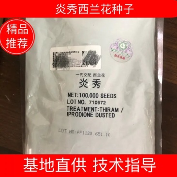 炎秀西兰花种子大包炎秀10万粒装21新日期芽率高顺丰包邮