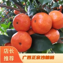 砂糖橘广西正宗沙糖桔3/10斤蜜橘子砂糖橘新鲜水果柑橘