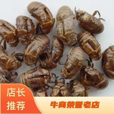四川资阳产地优质大蝉蜕，蝉壳，统货，落地货均有