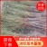 山东冠县中油四号桃树苗1--15公分大量现货，占地桃树，