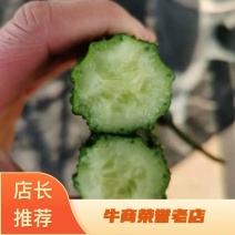 黄瓜，密刺黄瓜，保证质量，可提供各种包装，欢迎来电！