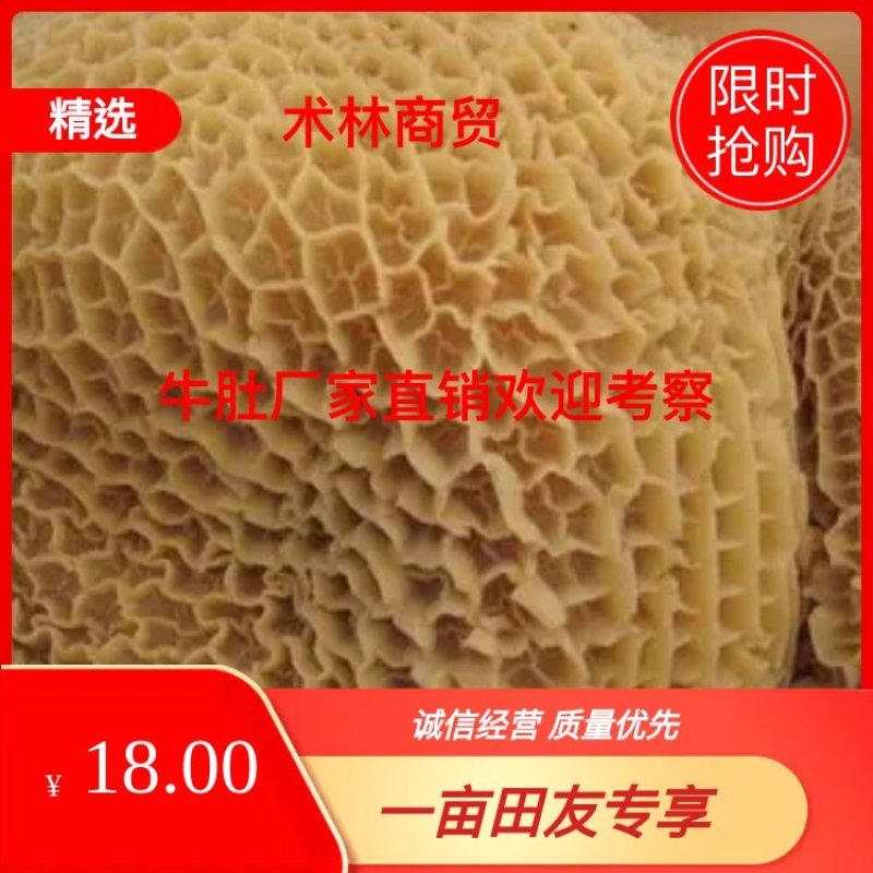 牛肚厂家直销欢迎考察屠宰加工一体化对接批发商