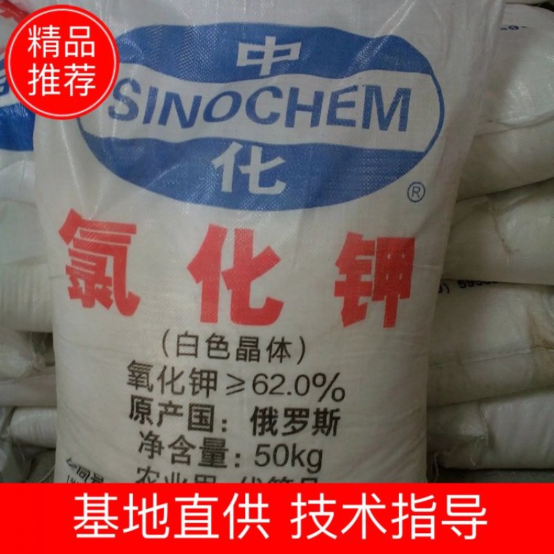 现货批发氯化钾农业级俄罗斯晶体钾肥养殖用氯化钾