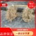 湖南衡阳白茅根一手货源量大从优品质保证