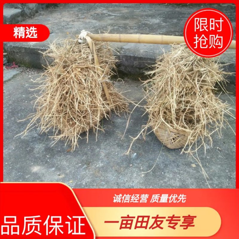 湖南衡阳白茅根一手货源量大从优品质保证