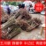 苗圃现挖李子苗，五月脆，蜂糖李，半边红，包邮包技术，死苗补发
