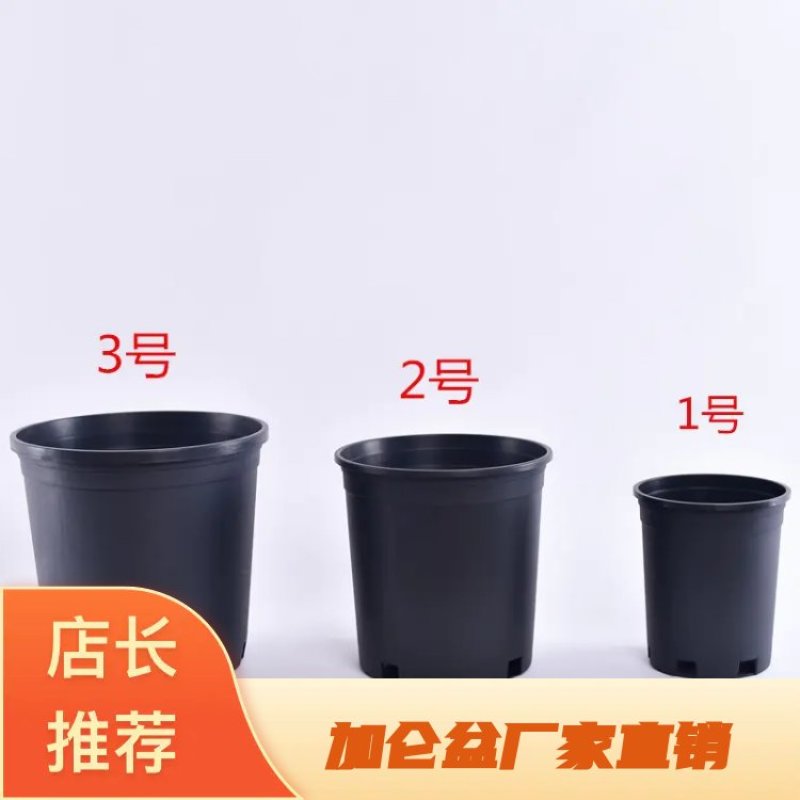 加仑盆厂家直销量大从优，郑州发货，质量优加