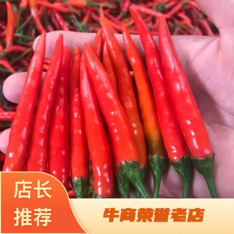 高辣艳红苗，高产抗病，果大饱满，泰国进口一代杂交种子