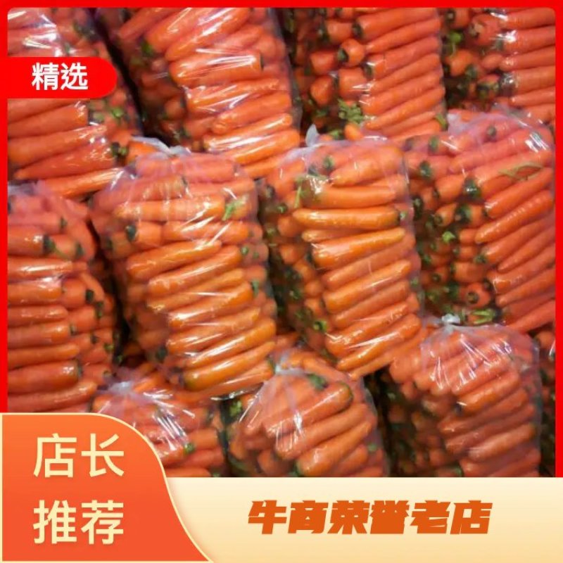 三红胡萝卜，水洗胡萝卜，苗胡萝卜。大量供应，质量保障