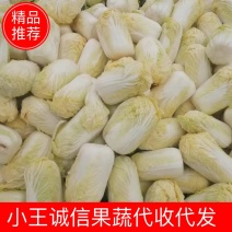 【推荐】黄心娃娃菜量大质优货源稳定品质价格合理