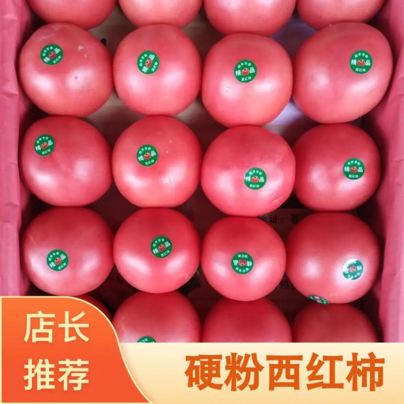 [优质]河南硬粉红沙瓤西红柿针对批发市场，零售，电商超