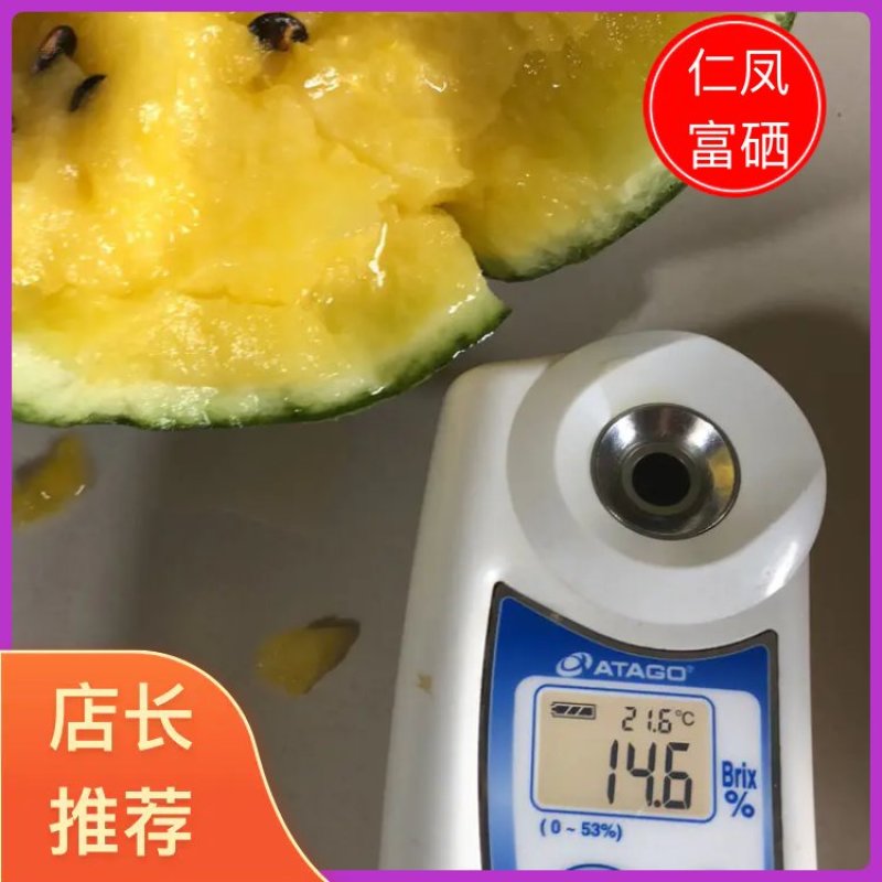 仁风富硒西瓜黄心西瓜当季新鲜水果商超品质产地直发