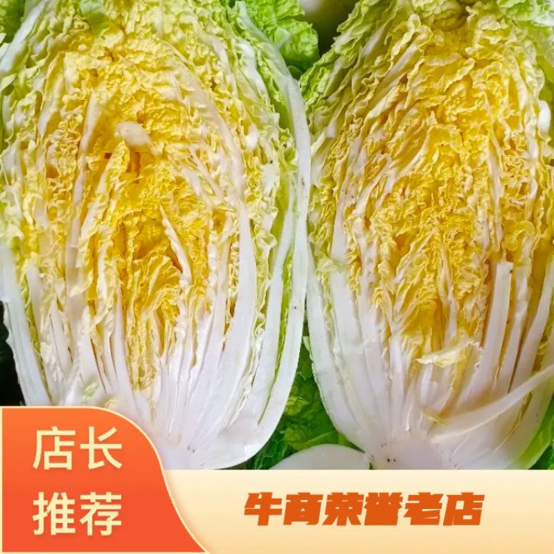 黄心白菜大量上市诚信代办散装，袋装，各