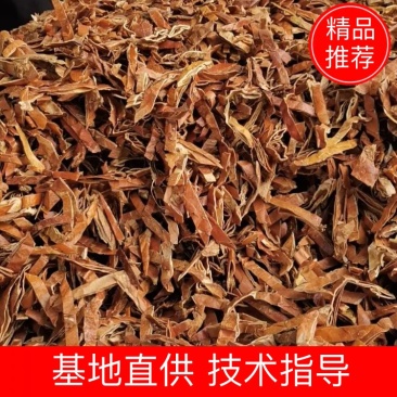 瓜蒌皮，黄瓜蒌皮，无硫瓜蒌皮丝，个子，全瓜蒌丝