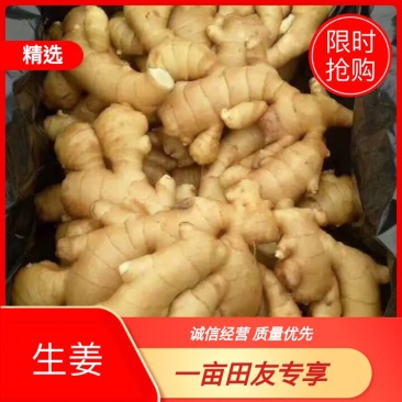 生姜山东生姜批发产地一手货源，块头大颜色黄，坏烂包赔