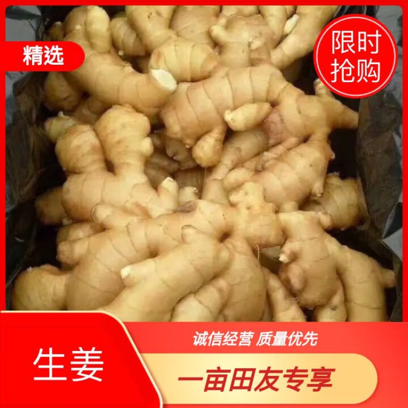 生姜山东生姜批发产地一手货源，块头大颜色黄，坏烂包赔