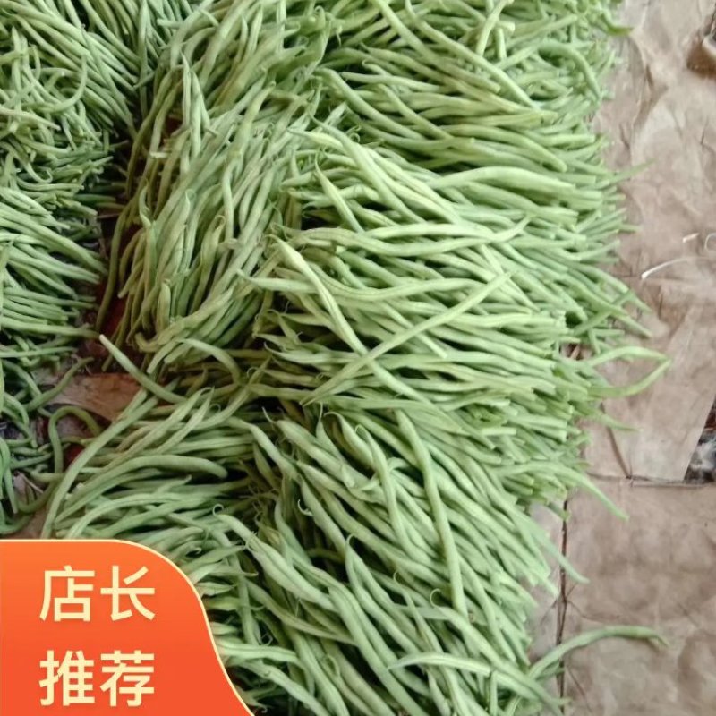 豆王大量上市，有要的联系我