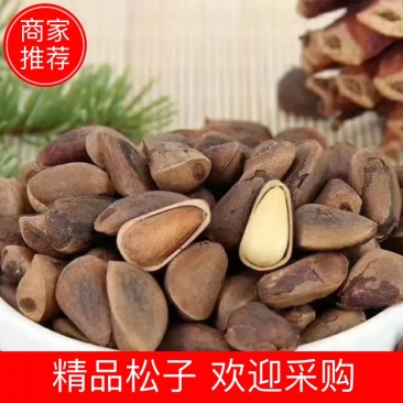 包邮东北原始森林红松子，新货，可大量供货，品质保证！