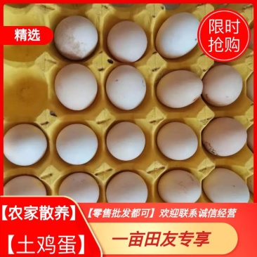 土鸡蛋【林下散养存粮饲喂】营养丰富【整件批发】零售都可