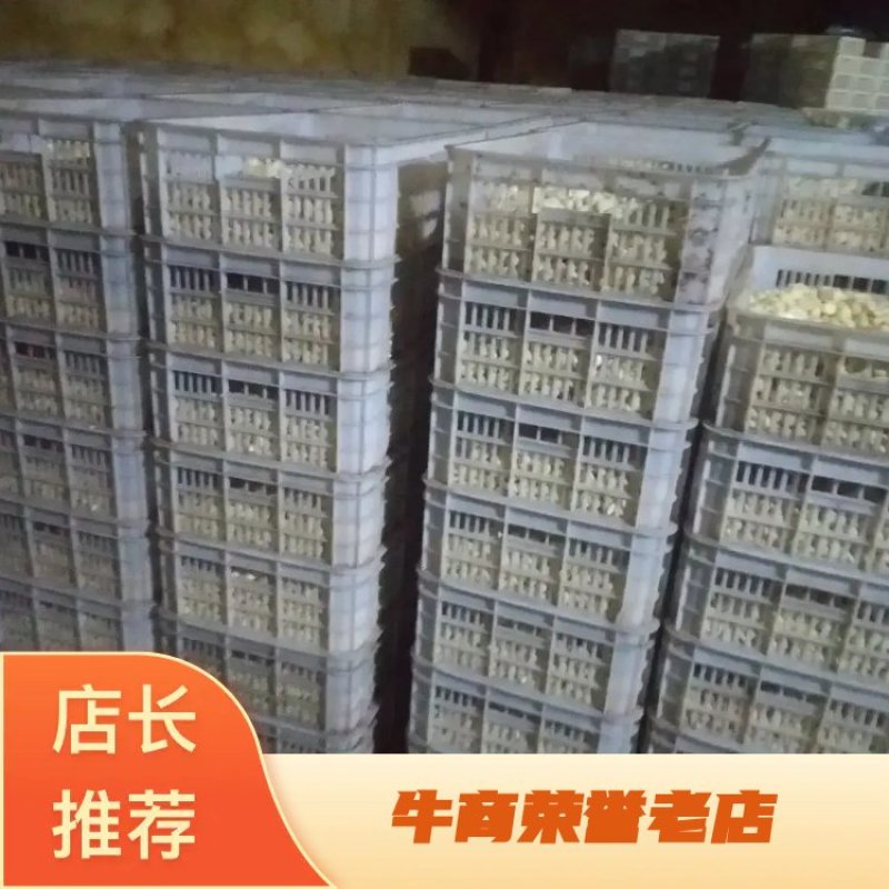 【腌制腊八蒜专用】，蒜米，原厂地直销，规格齐全，物美价廉