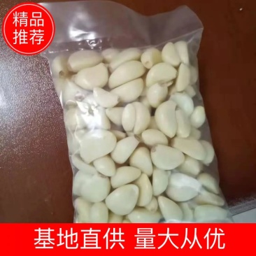 【腌制腊八蒜专用】，蒜米，原厂地直销，规格齐全，物美价廉