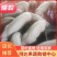 【包疫苗】优良三元仔猪基地直发生长快包成活送货到家