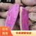 产地直供价格低廉紫薯紫罗兰紫薯加工紫薯粉条