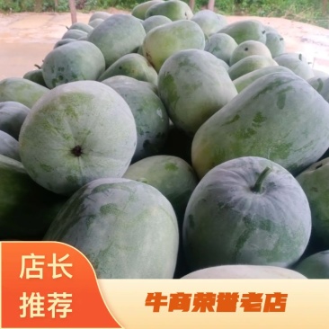 圆冬瓜，一手货源，产地直供，可视频看货，种植面积广，，，