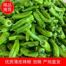 海南辣椒精品薄皮泡椒几十万亩实力产地一手代办