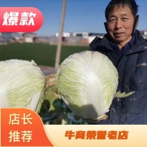 『精品好菜』河南大白菜毛菜净菜都可大量有货