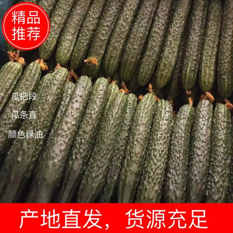 黄瓜顶花带刺绿心黄瓜瓜把短，条形直产地直大量上市产地直销